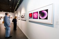 _MG_0581